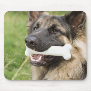 Mousepad Cão com osso