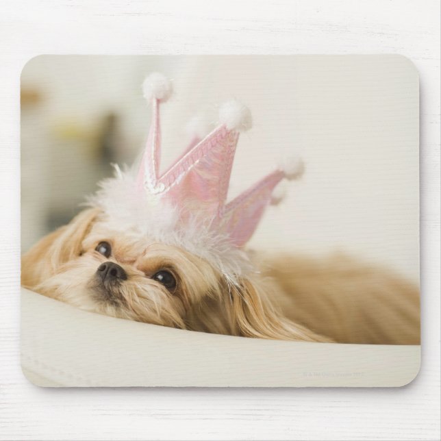 Mousepad Cão com uma coroa (Frente)