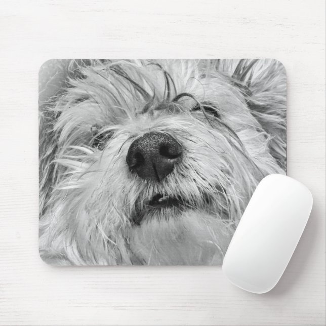 Mousepad Cão Coton de Tulear (Com mouse)
