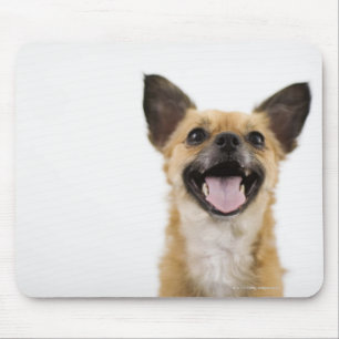 Mousepad Cão da ânsia