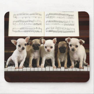 Mousepad Cão da chihuahua