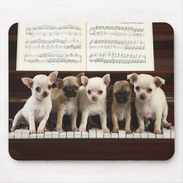 Mousepad Cão da chihuahua (Frente)