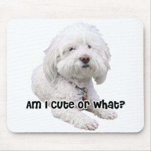 Mousepad Cão de Bichon Frise