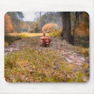 Mousepad Cão-de-bico-de-cabelos-bonitos na floresta