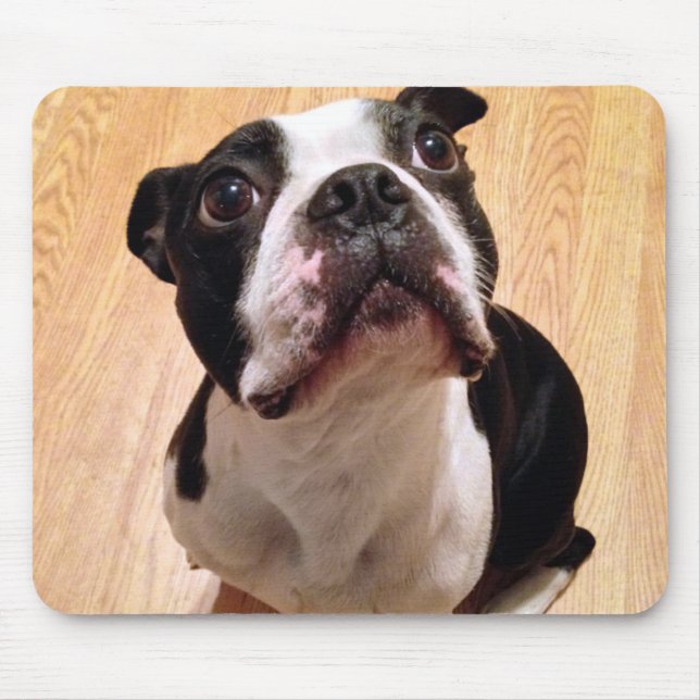 Mousepad Cão de Boston Terrier (Frente)