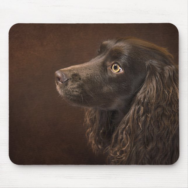 Mousepad Cão De Cabelo Castanho (Frente)