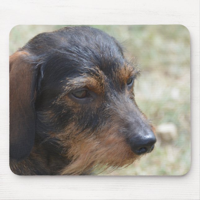 Mousepad Cão de cabelo de Daschund do fio (Frente)