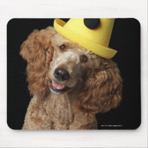 Mousepad Cão de caniche dourado que veste um chapéu amare