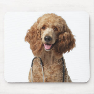 Mousepad Cão de caniche dourado que veste um estetoscópio