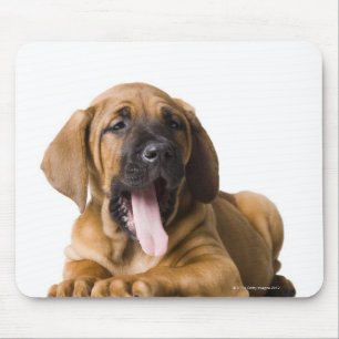 Mousepad Cão de filhote de cachorro 2