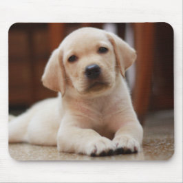 Mousepad Cão de filhote de cachorro amarelo de Labrador do