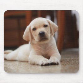 Mousepad Cão de filhote de cachorro amarelo de Labrador do