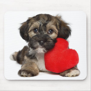 Mousepad Cão de filhote de cachorro de Havanese dos