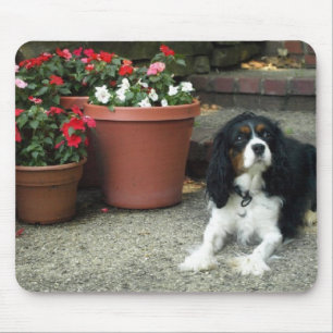 Mousepad Cão de filhote de cachorro descuidado do rei