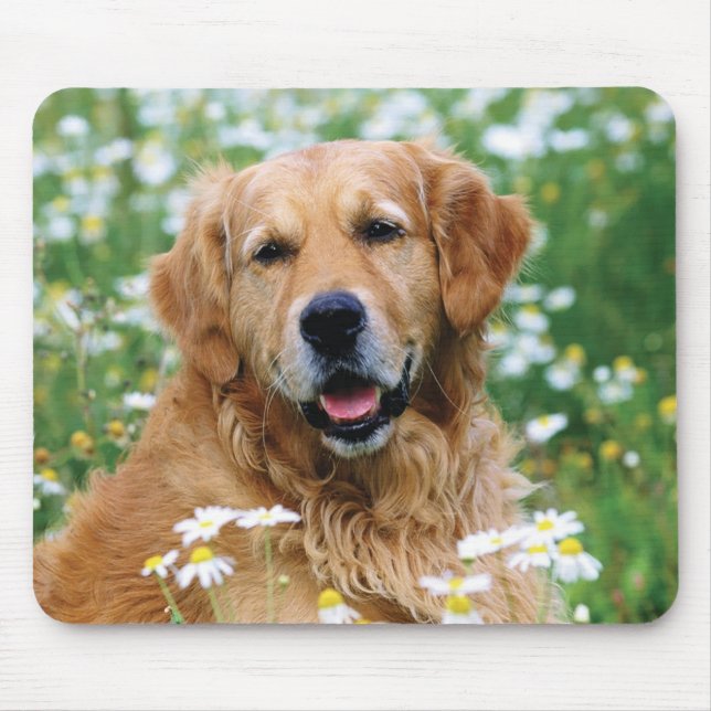 Mousepad Cão de filhote de cachorro do golden retriever (Frente)