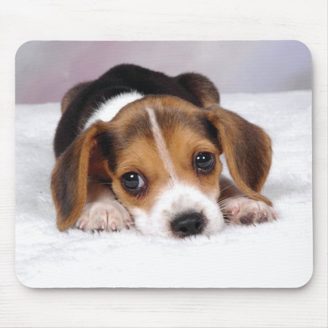 Mousepad Cão de filhote de cachorro do lebreiro (Frente)