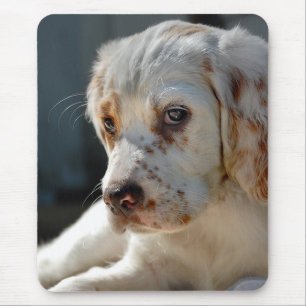 Mousepad Cão de filhote de cachorro do Spaniel