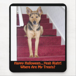 Mousepad Cão de Halloween e Sem Tratamentos