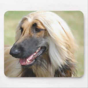 Mousepad Cão de HoundPuppy do afegão