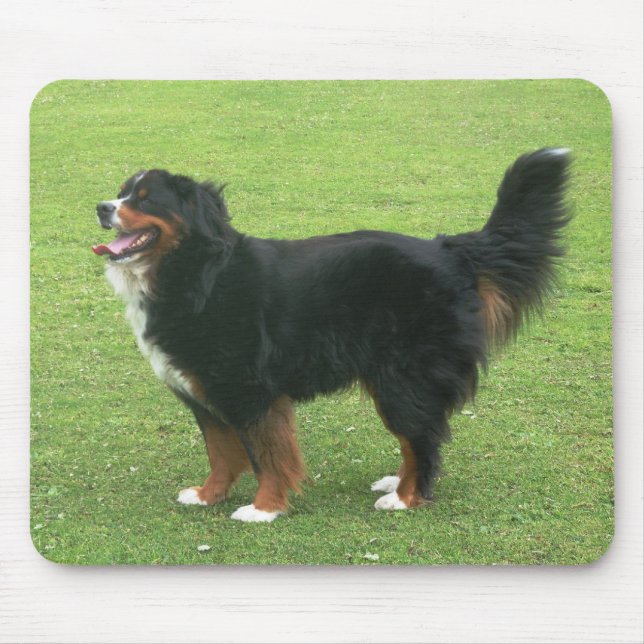 Mousepad Cão de montanha de Bernese (Frente)