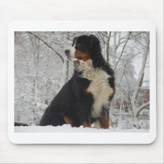 Mousepad Cão de montanha de Bernese
