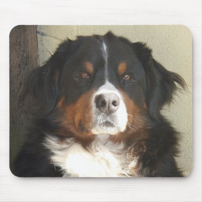 Mousepad Cão de montanha de Bernese (Frente)