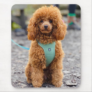 Mousepad Cão-de-papoila-marrom Fluffy