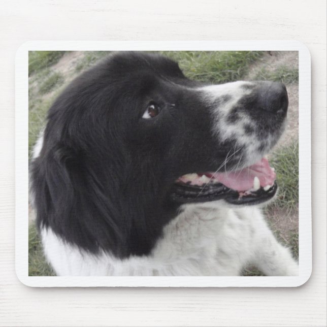 Mousepad Cão de pastor búlgaro de Sara (Frente)