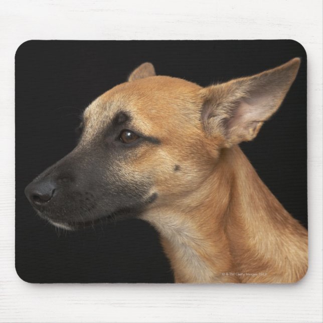 Mousepad Cão de raça mista olhando para a esquerda em preto (Frente)