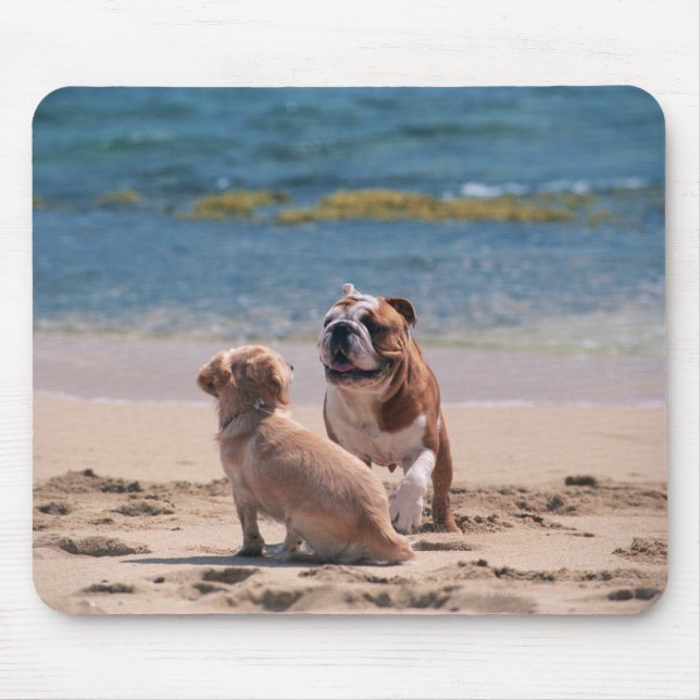 Mousepad Cão de Sandy Beach (Frente)