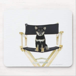 Mousepad Cão de Shiba Inu na cadeira do diretor
