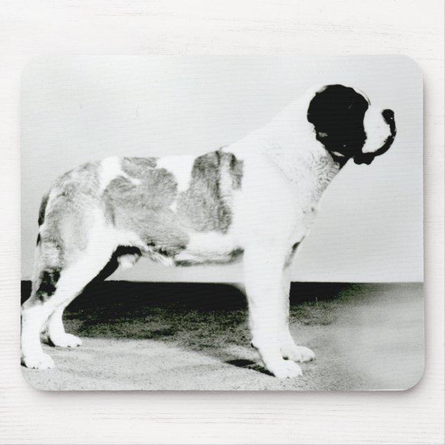 Mousepad Cão de St Bernard (Frente)