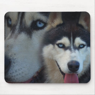 Mousepad Cão de trenó do Alasca - rouco