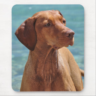 Mousepad Cão de Vizsla do Magiar