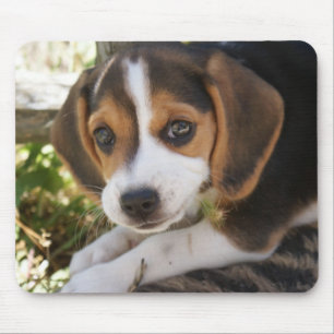 Mousepad Cão do bebê do lebreiro
