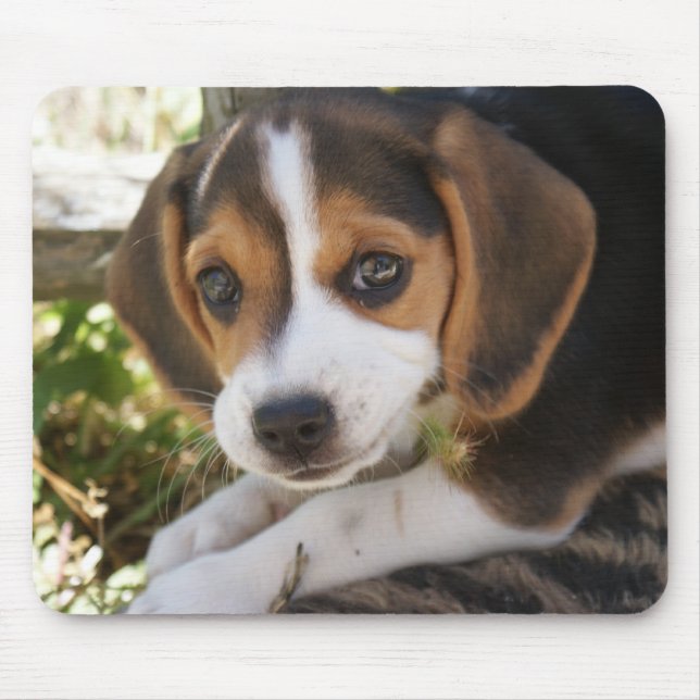 Mousepad Cão do bebê do lebreiro (Frente)