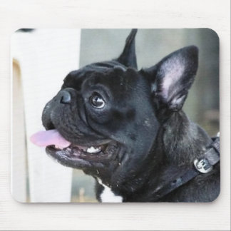 Mousepad Cão do buldogue francês
