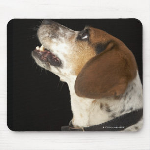 Mousepad Cão do lebreiro com perfil preto do colar