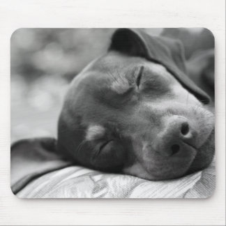 Mousepad Cão do Pinscher diminuto do sono