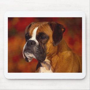 Mousepad Cão do pugilista