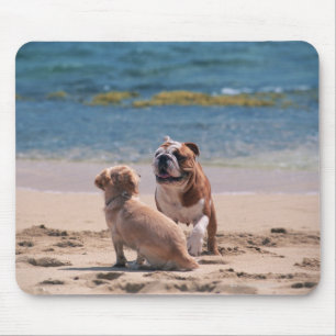 Mousepad Cão do Sandy Beach