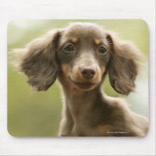 Mousepad Cão do Wiener (marrom)