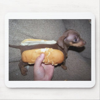 Mousepad Cão em um bolo