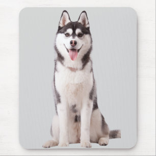Mousepad Cão Husky Siberiano