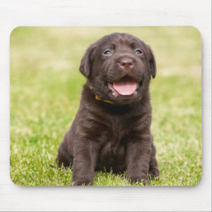 Mousepad Cão macio do filhote de cachorro