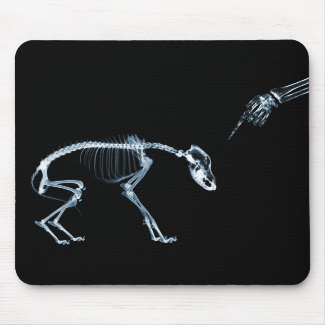 Mousepad Cão mau azul dos esqueletos do raio X (Frente)