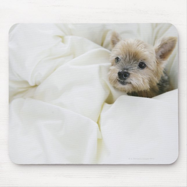 Mousepad Cão na cama (Frente)