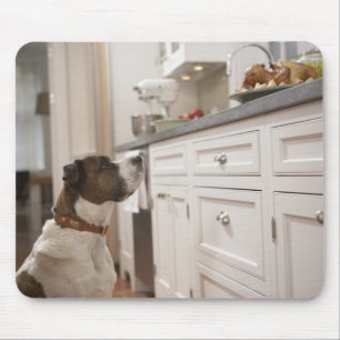 Mousepad Cão na cozinha que olha a comida no contador
