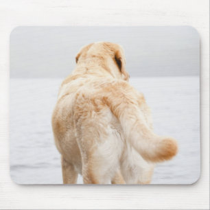 Mousepad Cão na doca