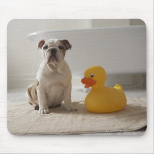 Mousepad Cão na esteira com pato plástico